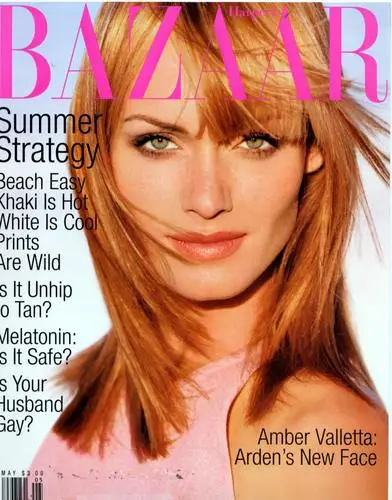 Amber Valletta Wall Poster picture 62686