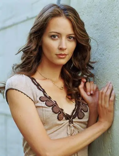 Amy Acker Wall Poster picture 28138