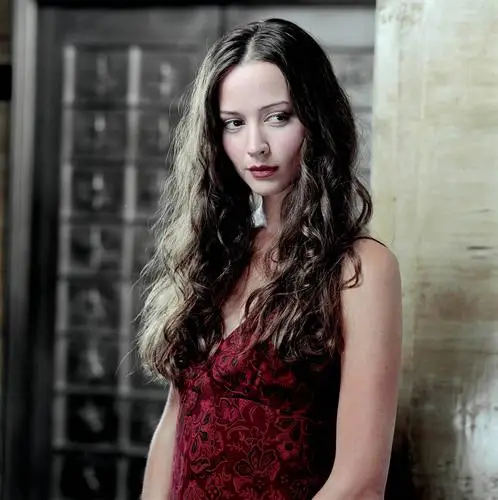 Amy Acker Jigsaw Puzzle picture 28141