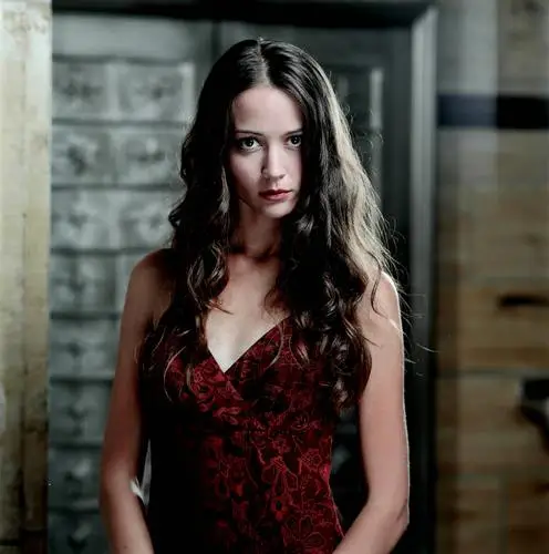 Amy Acker Jigsaw Puzzle picture 28142