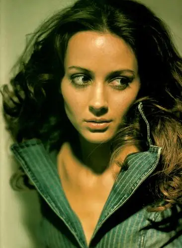 Amy Acker Jigsaw Puzzle picture 28157