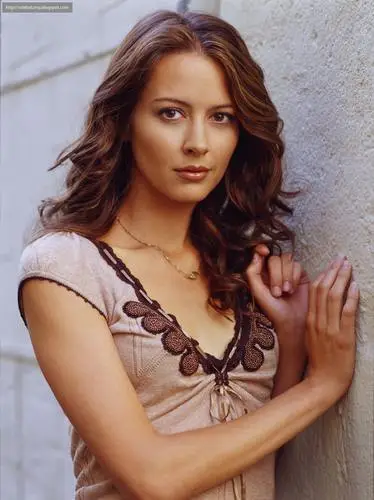 Amy Acker Wall Poster picture 62704