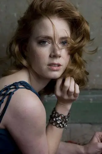 Amy Adams Wall Poster picture 21046