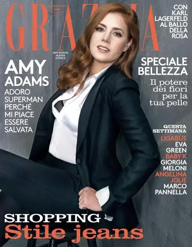 Amy Adams Wall Poster picture 564152