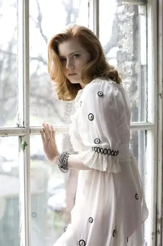 Amy Adams Wall Poster picture 564192