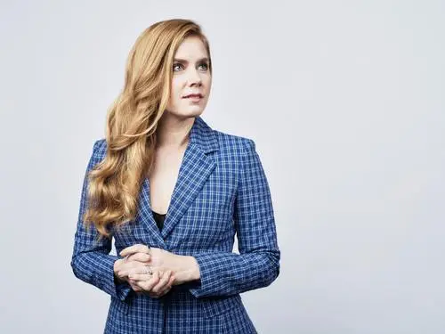 Amy Adams Wall Poster picture 564278