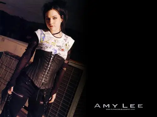Amy Lee Men's Colored Hoodie - idPoster.com