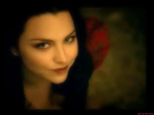 Amy Lee Jigsaw Puzzle picture 127350