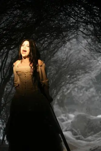Amy Lee Wall Poster picture 186225