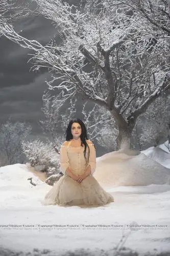 Amy Lee Wall Poster picture 186236