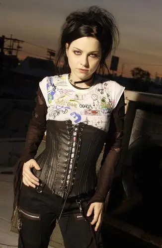 Amy Lee Wall Poster picture 186244