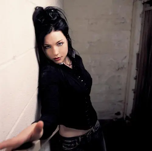 Amy Lee Jigsaw Puzzle picture 2073
