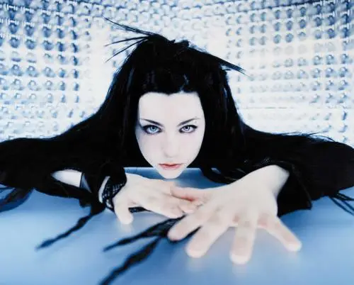 Amy Lee Jigsaw Puzzle picture 2144