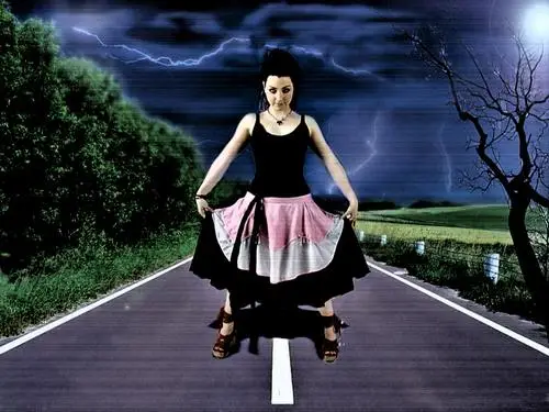 Amy Lee Wall Poster picture 86039