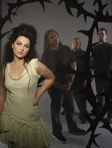 Amy Lee and Evanescence Promos posters and prints