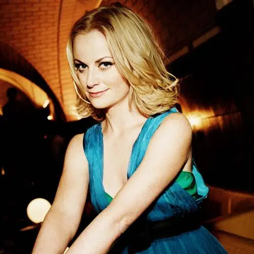Amy Poehler Wall Poster picture 2170