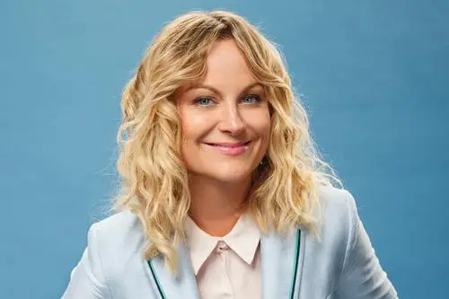 Amy Poehler Wall Poster picture 558596