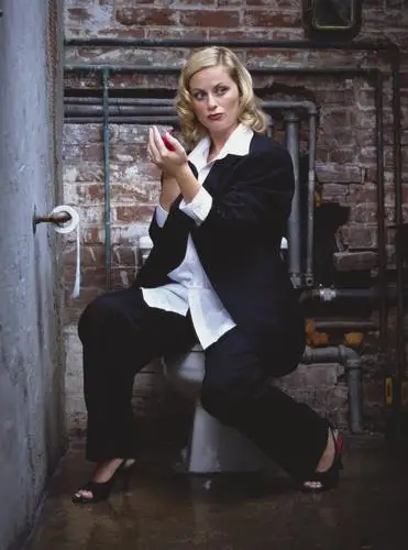 Amy Poehler Computer MousePad picture 909344