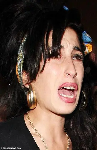 Amy Winehouse Fridge Magnet picture 94297