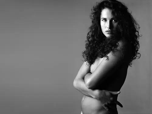 Andie MacDowell Wall Poster picture 127463