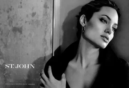 Angelina Jolie Wall Poster picture 2335