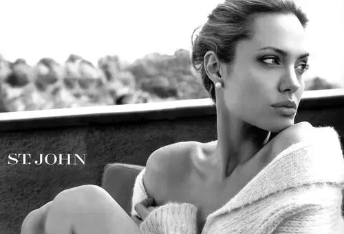 Angelina Jolie Fridge Magnet picture 2337