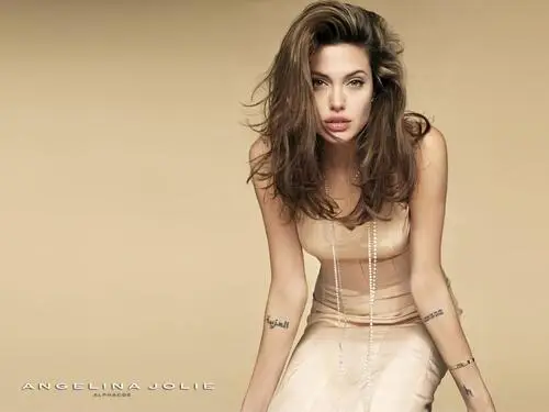 Angelina Jolie Wall Poster picture 2360