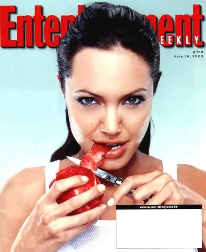Angelina Jolie Jigsaw Puzzle picture 2395