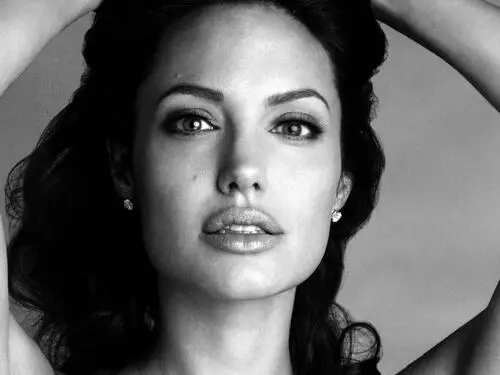 Angelina Jolie Jigsaw Puzzle picture 88213