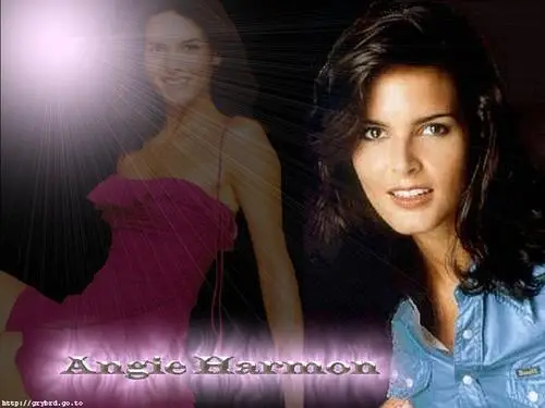 Angie Harmon Computer MousePad picture 88739