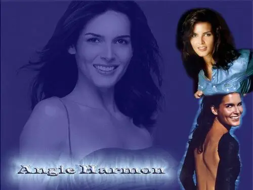 Angie Harmon Wall Poster picture 88740