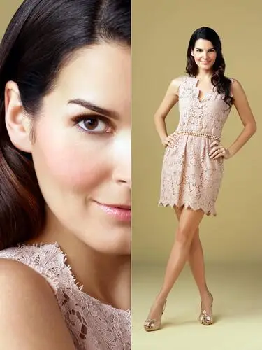 Angie Harmon Jigsaw Puzzle picture 88743