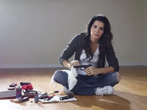 Angie Harmon Jigsaw Puzzle picture 88744