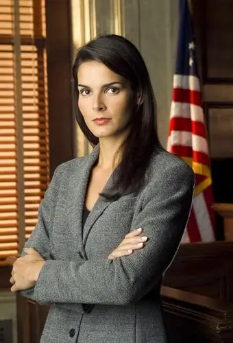 Angie Harmon Wall Poster picture 909765