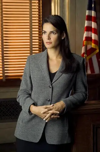 Angie Harmon Jigsaw Puzzle picture 909773