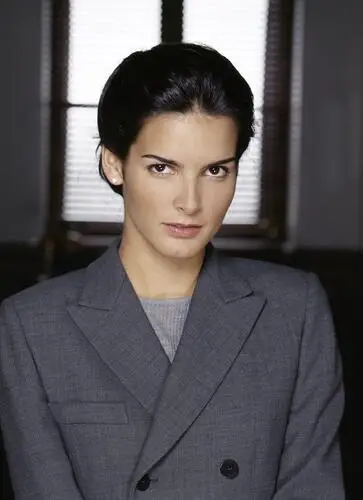 Angie Harmon Jigsaw Puzzle picture 909778