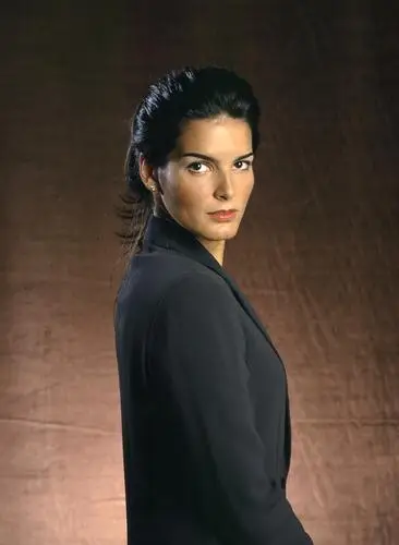 Angie Harmon Wall Poster picture 909785