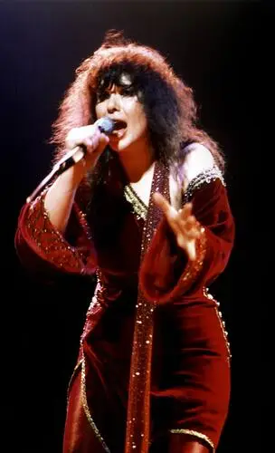 Ann Wilson Wall Poster picture 94479