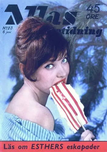 Anna Karina Wall Poster picture 215243