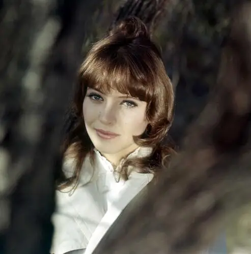 Anna Karina Jigsaw Puzzle picture 215276