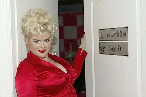 Anna Nicole Smith Wall Poster picture 909994