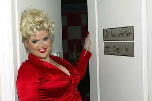 Anna Nicole Smith Wall Poster picture 909995