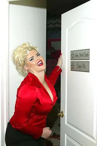 Anna Nicole Smith Wall Poster picture 909998