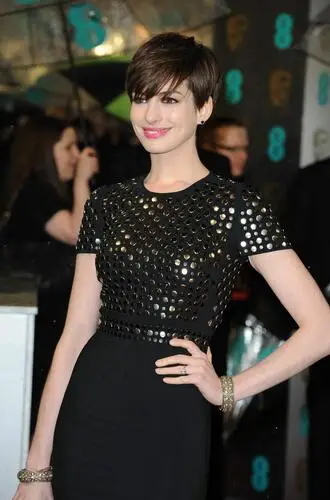 Anne Hathaway Wall Poster picture 228161