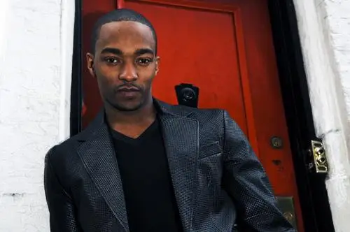 Anthony Mackie Wall Poster picture 1005561