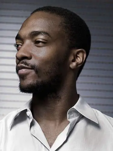 Anthony Mackie Wall Poster picture 1005660