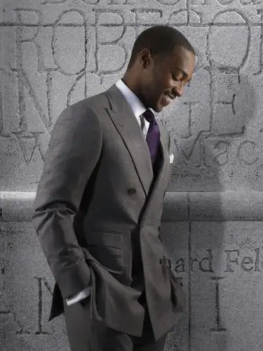 Anthony Mackie Wall Poster picture 1005664