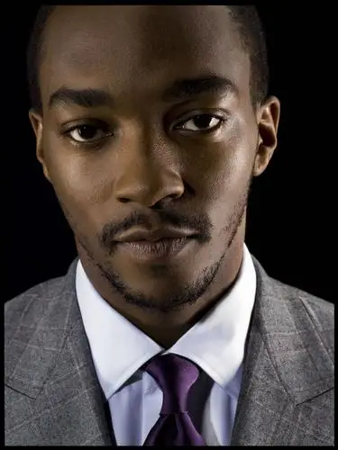Anthony Mackie Protected Face mask - idPoster.com