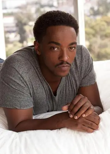 Anthony Mackie Wall Poster picture 1005669