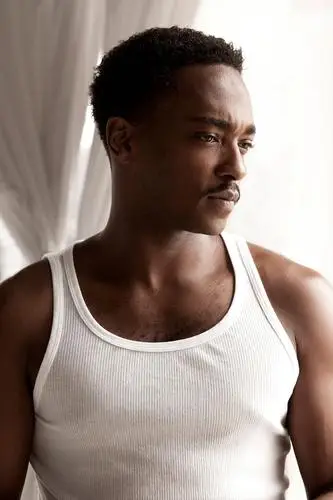 Anthony Mackie Wall Poster picture 1005670